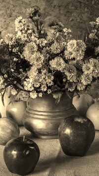Szary + Sepia