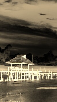 Sepia + Negatyw