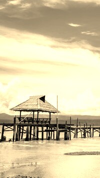 Sepia