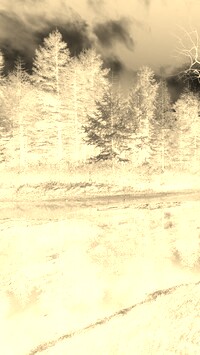Sepia + Negatyw