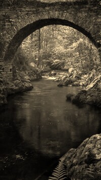 Sepia