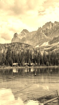 Sepia