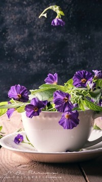 Oryginalny obrazek