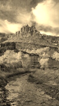 Szary + Sepia