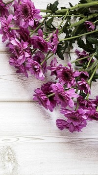Oryginalny obrazek