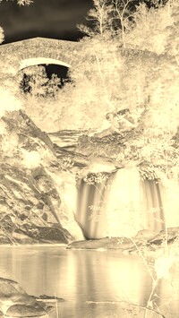 Sepia + Negatyw