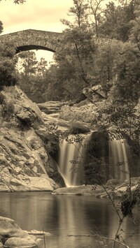 Sepia