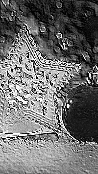 Skamielina