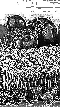 Skamielina