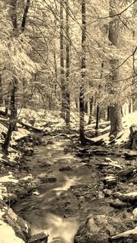 Szary + Sepia