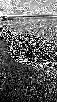 Skamielina
