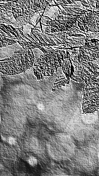 Skamielina