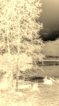 Sepia + Negatyw