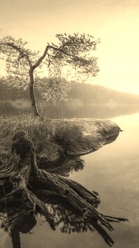 Szary + Sepia