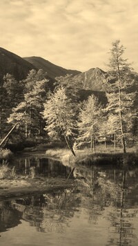 Sepia