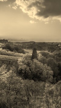 Szary + Sepia