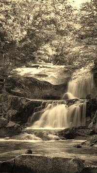 Sepia