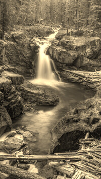 Sepia