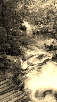 Sepia