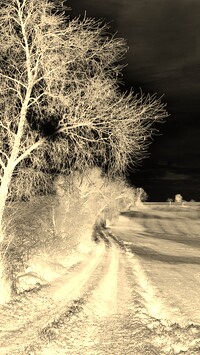 Sepia + Negatyw