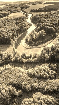 Sepia