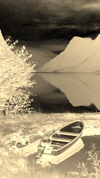 Sepia + Negatyw