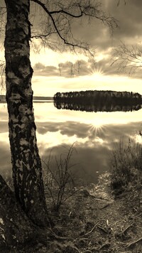 Sepia