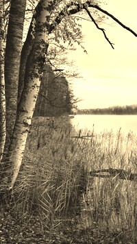 Szary + Sepia