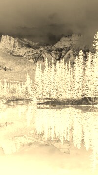 Sepia + Negatyw