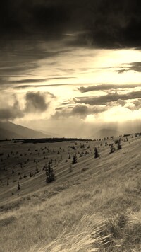 Sepia