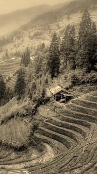 Szary + Sepia