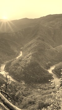 Sepia