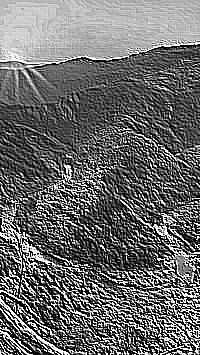 Skamielina