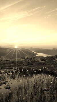 Sepia