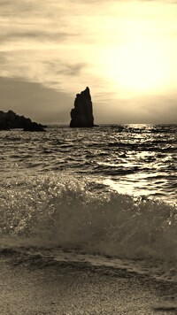 Szary + Sepia