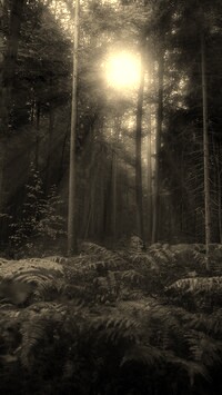 Sepia
