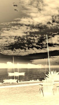 Sepia + Negatyw