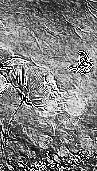 Skamielina