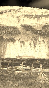 Sepia + Negatyw