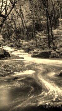 Szary + Sepia