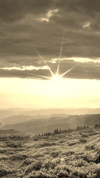 Szary + Sepia