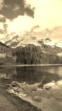 Szary + Sepia