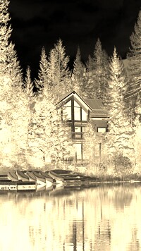 Sepia + Negatyw