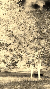 Sepia + Negatyw