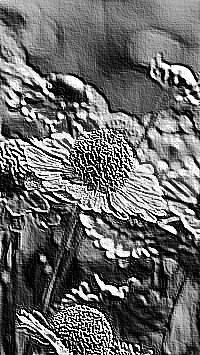 Skamielina
