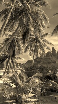 Szary + Sepia