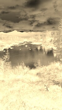 Sepia + Negatyw