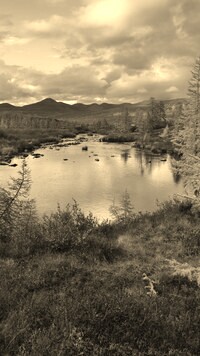 Sepia