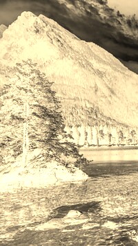 Sepia + Negatyw