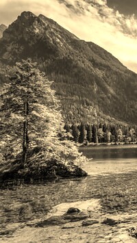 Szary + Sepia